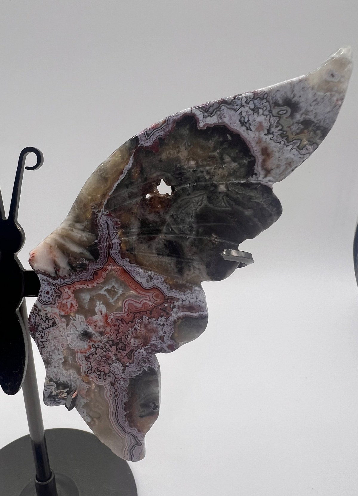 Crazy Lace Agate wings