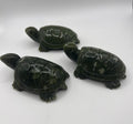 Serpentine turtle