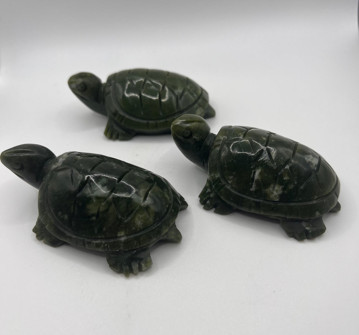 Serpentine turtle