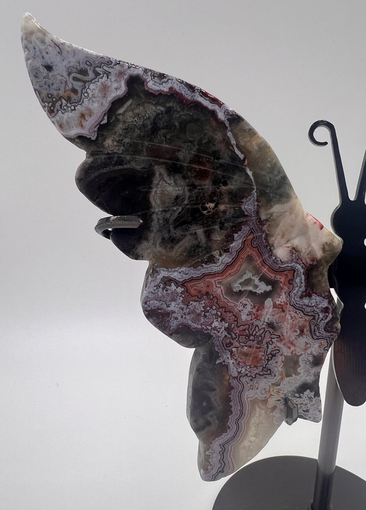 Crazy Lace Agate wings