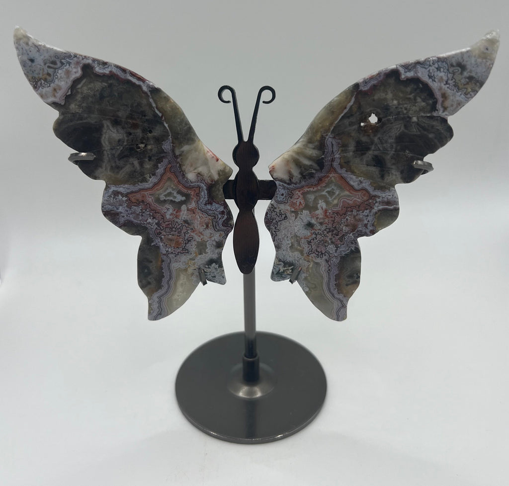 Crazy Lace Agate wings