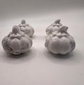Howlite Pumpkin